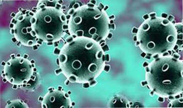 विश्व में कोरोना से 2.97 करोड़ संक्रमित, 9.39 लाख की मौत विश्व में कोरोना से 2.97 करोड़ संक्रमित, 9.39 लाख की मौत